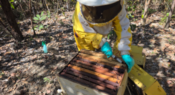 Termina hoje prazo para cadastro em projeto do Governo de Goiás de melhoria de agroindústrias